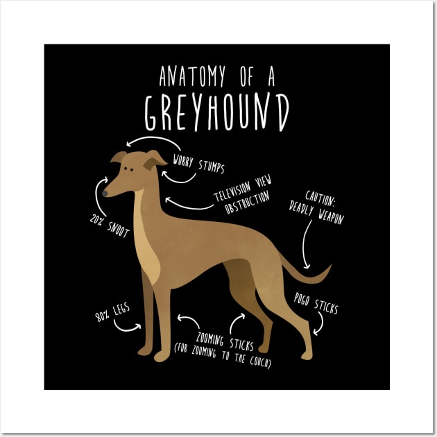 Greyhound Dog Anatomy Wall Art by Psitta